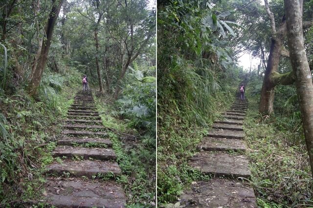 大旗棟古道、大山背山