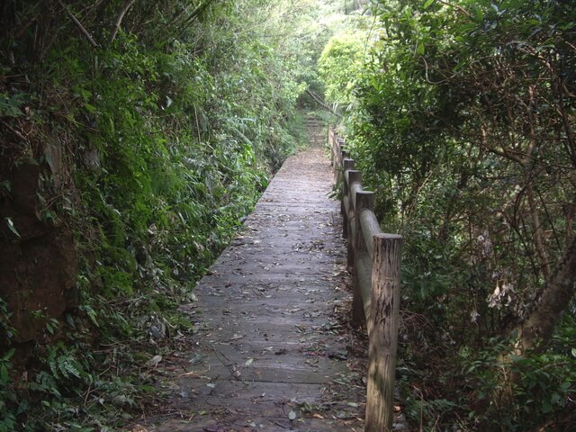 大旗棟古道、大山背山