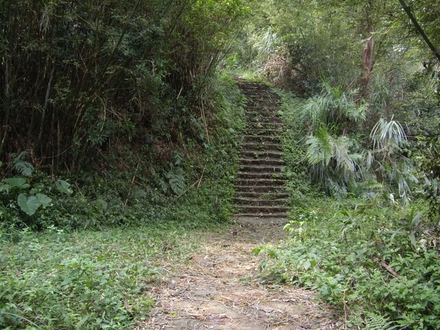 大旗棟古道、大山背山