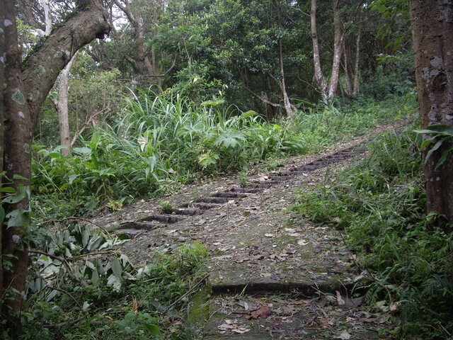 大旗棟古道、大山背山