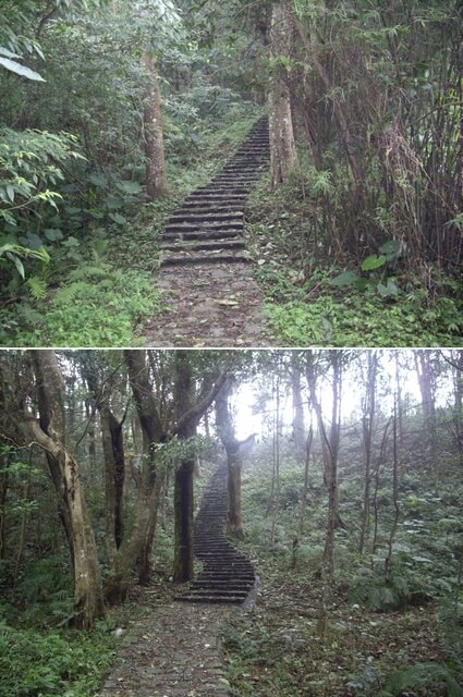 大旗棟古道、大山背山