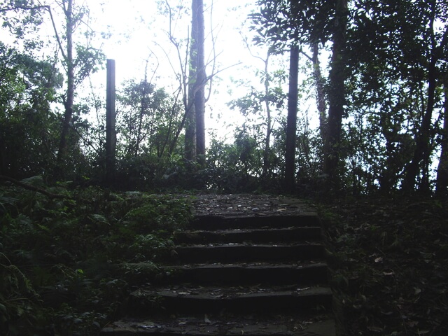 大旗棟古道、大山背山