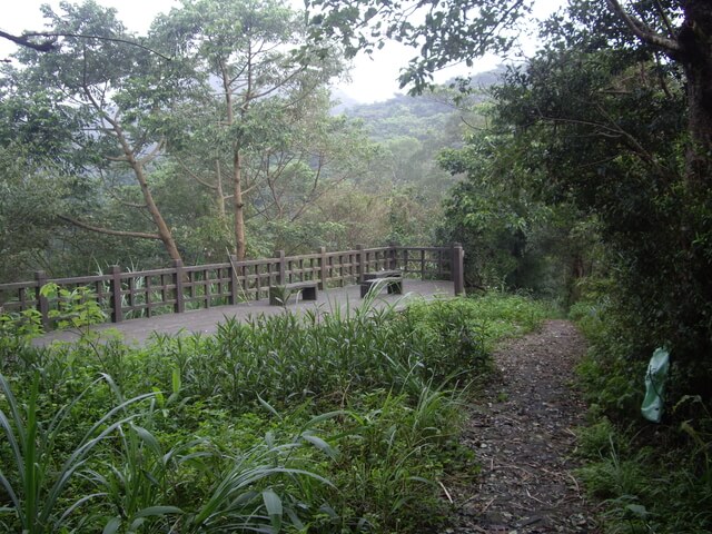 大山背山 櫻花觀景平台