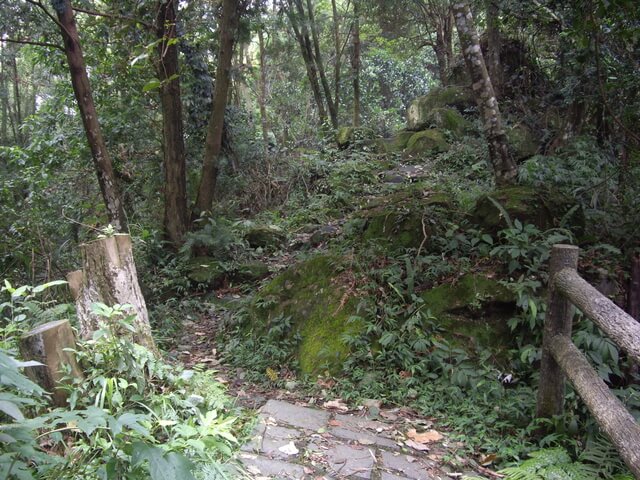 大旗棟古道、大山背山