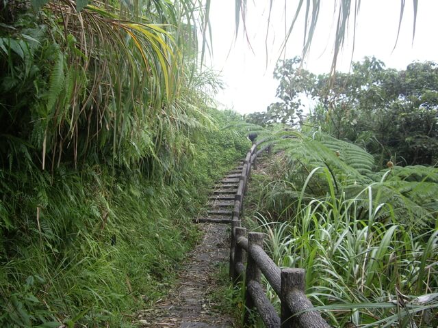 大旗棟古道、大山背山