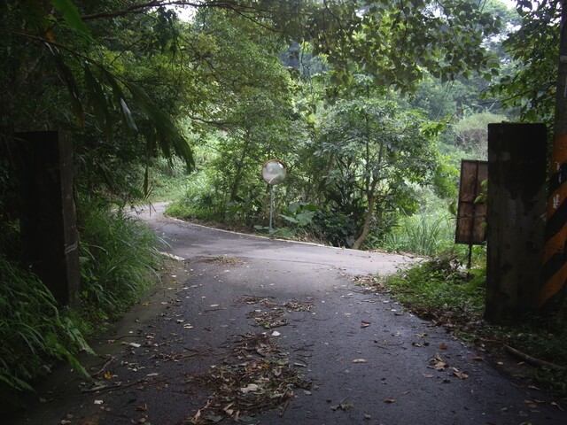 大旗棟古道、大山背山