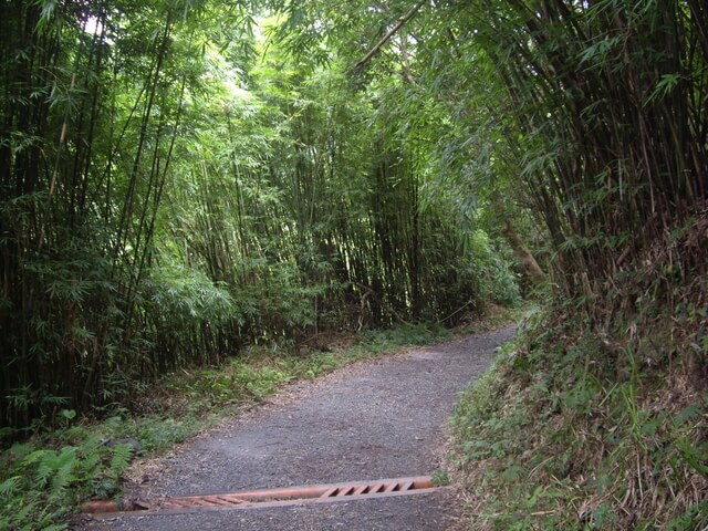 聖母登山步道、三角崙山東南峰、三角崙山