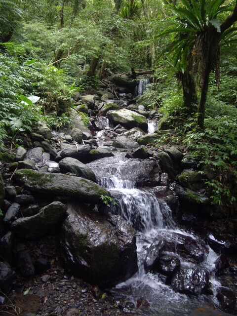 聖母登山步道、三角崙山東南峰、三角崙山