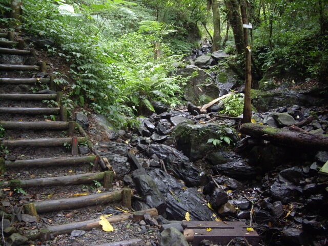 聖母登山步道、三角崙山東南峰、三角崙山