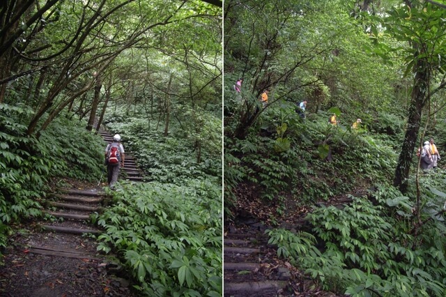 聖母登山步道、三角崙山東南峰、三角崙山