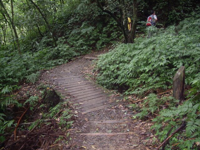 聖母登山步道、三角崙山東南峰、三角崙山