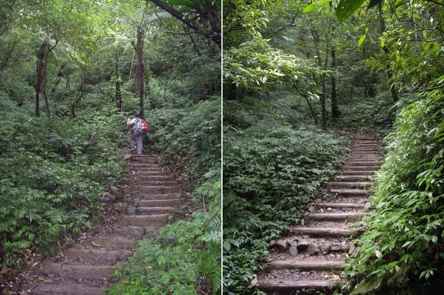 聖母登山步道、三角崙山東南峰、三角崙山