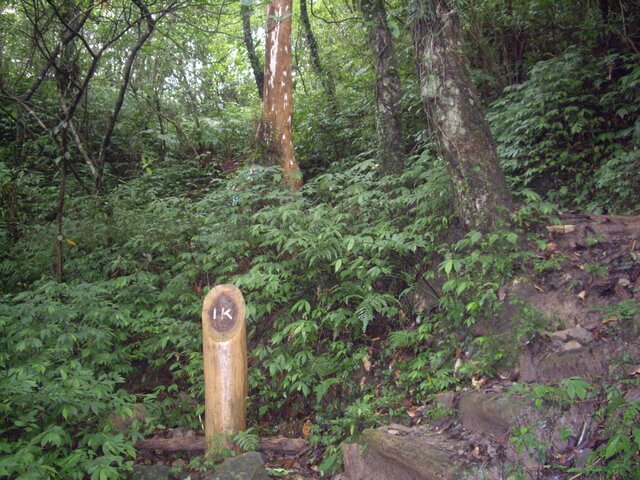 聖母登山步道、三角崙山東南峰、三角崙山