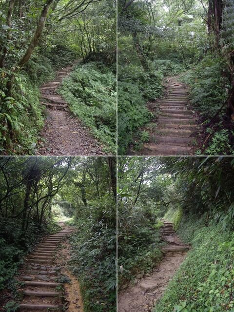 聖母登山步道、三角崙山東南峰、三角崙山