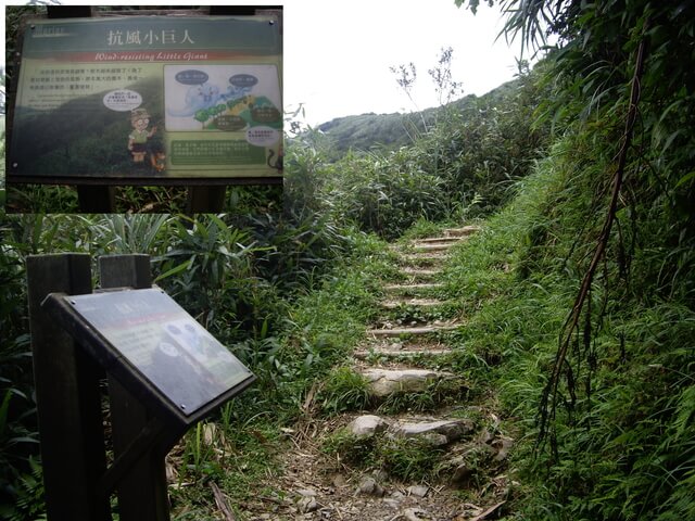 聖母登山步道、三角崙山東南峰、三角崙山