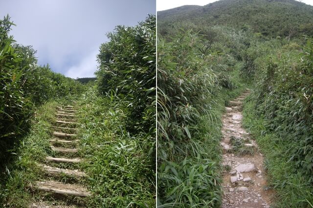 聖母登山步道、三角崙山東南峰、三角崙山