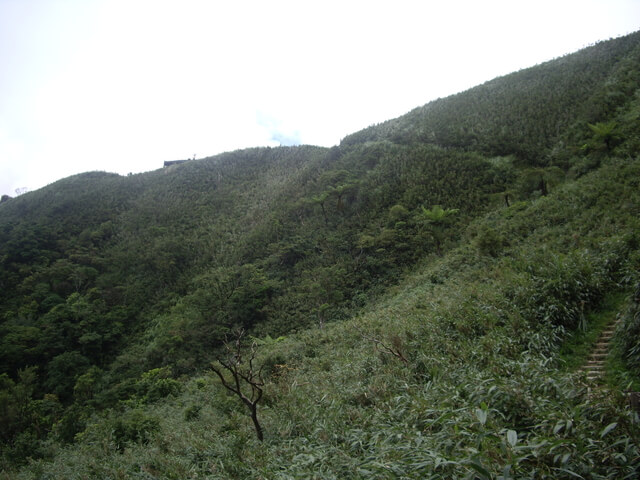 聖母登山步道、三角崙山東南峰、三角崙山