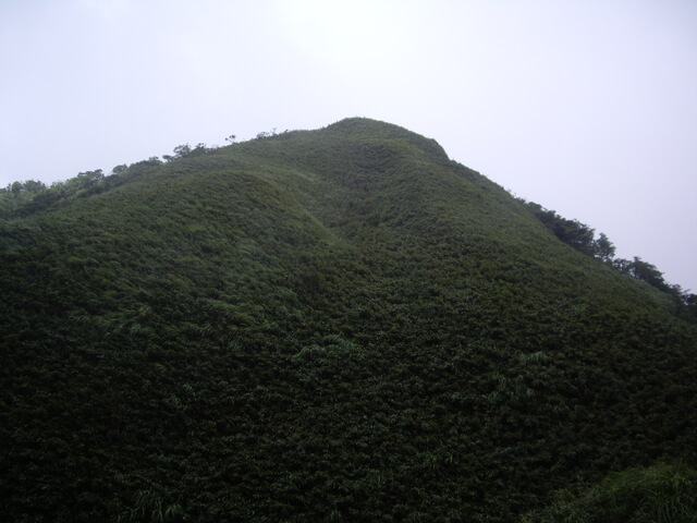 聖母登山步道、三角崙山東南峰、三角崙山