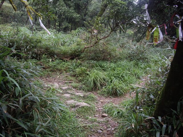 聖母登山步道、三角崙山東南峰、三角崙山