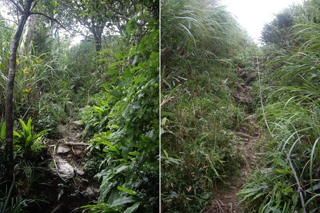 聖母登山步道、三角崙山東南峰、三角崙山