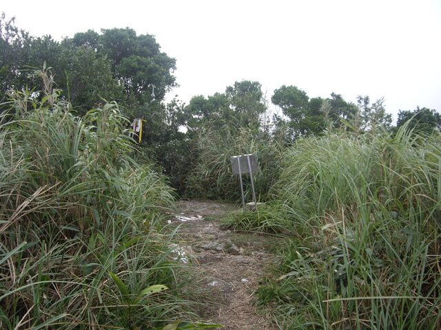 聖母登山步道、三角崙山東南峰、三角崙山