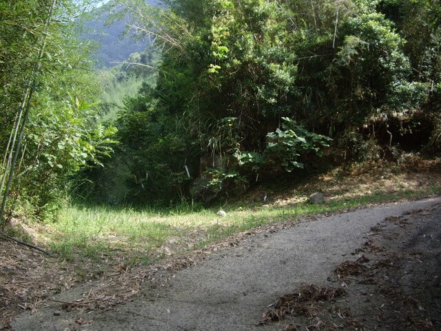 那羅山