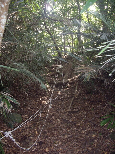 那羅山