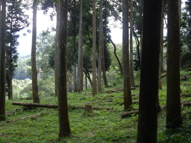 拉庫山步道、拉庫山