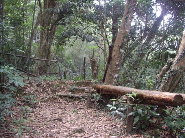 拉庫山步道、拉庫山