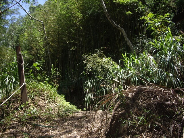 象鼻古道、千兩山步道、千兩山