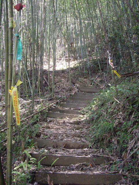 象鼻古道、千兩山步道、千兩山