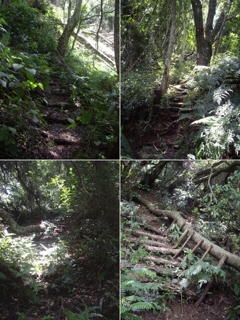 象鼻古道、千兩山步道、千兩山