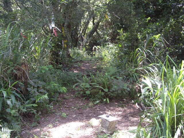 象鼻古道、千兩山步道、千兩山