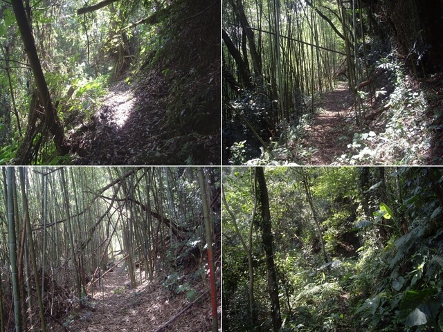 象鼻古道、千兩山步道、千兩山