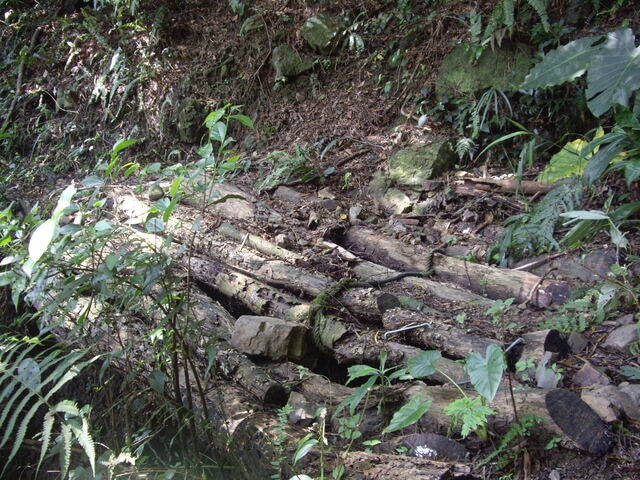 象鼻古道、千兩山步道、千兩山