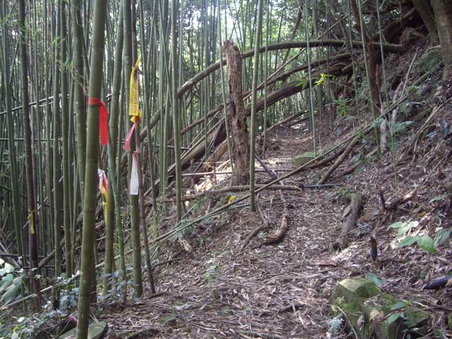 象鼻古道、千兩山步道、千兩山