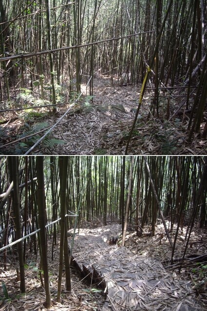 象鼻古道、千兩山步道、千兩山