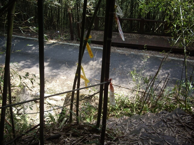 象鼻古道、千兩山步道、千兩山