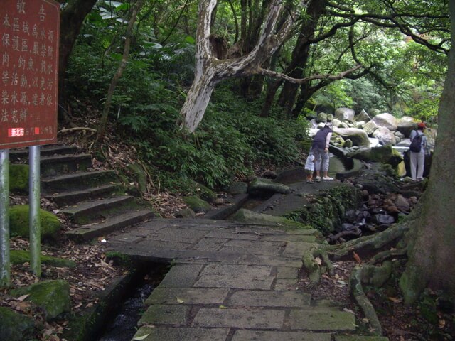 青山瀑布步道、尖山湖步道，順遊老梅石槽