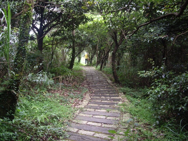 青山瀑布步道、尖山湖步道，順遊老梅石槽