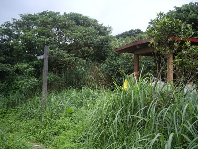 青山瀑布步道、尖山湖步道，順遊老梅石槽