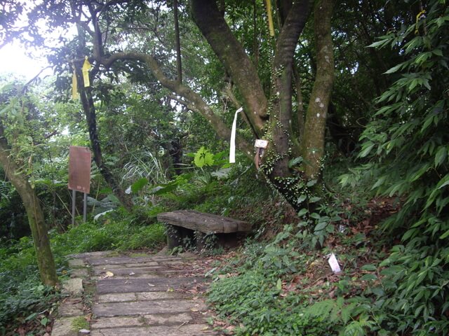 青山瀑布步道、尖山湖步道，順遊老梅石槽