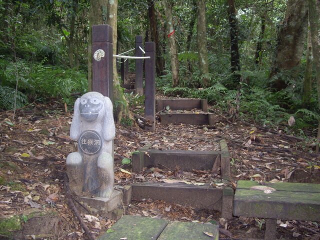 金龜岩登山步道、猴洞登山步道