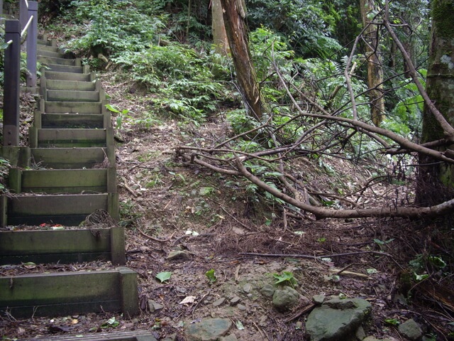 金龜岩登山步道、猴洞登山步道