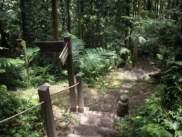 金龜岩登山步道、猴洞登山步道