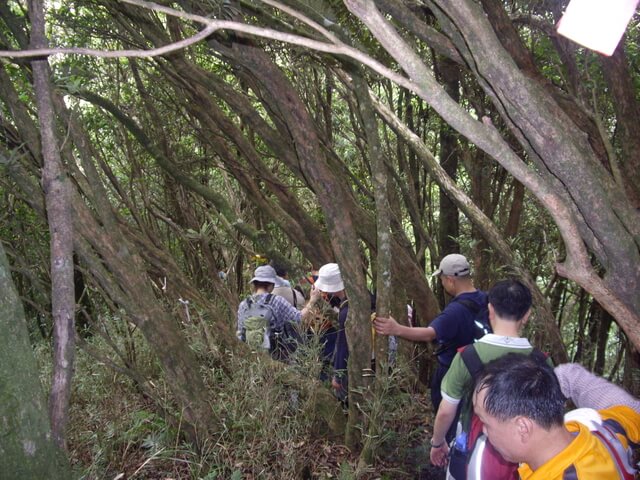 李崠山縱走大混山