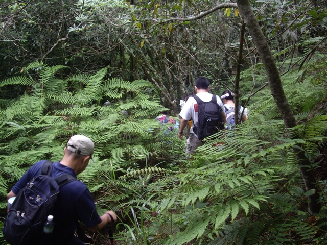 李崠山縱走大混山