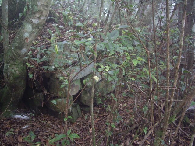 李崠山縱走大混山