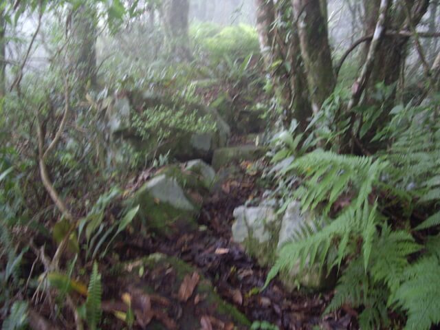 李崠山縱走大混山