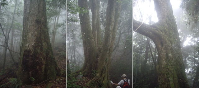 李崠山縱走大混山